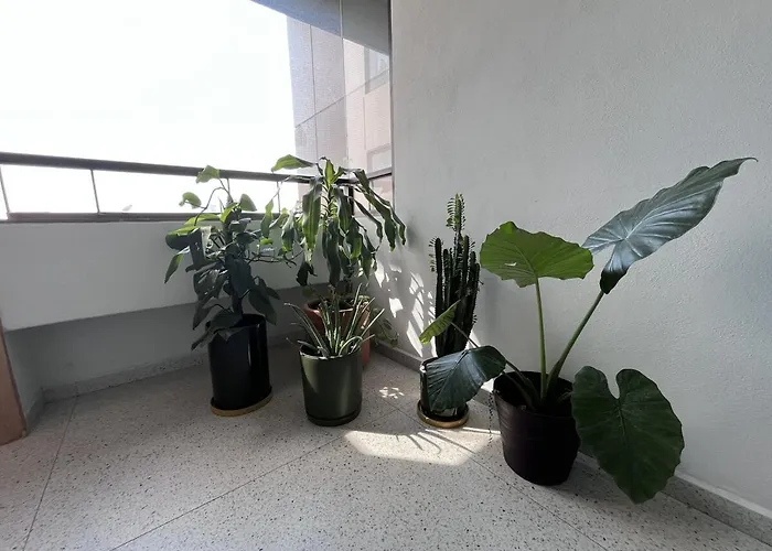 New Luxury, Stylish And Confortable In Condesa Apartamento México DF