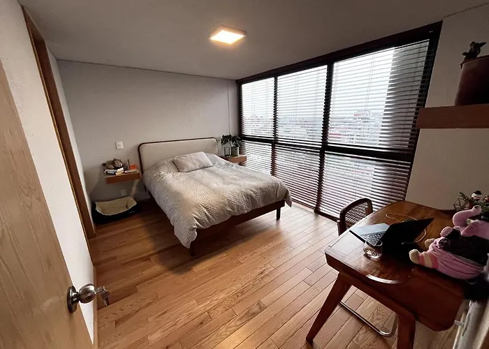 New Luxury, Stylish And Confortable In Condesa