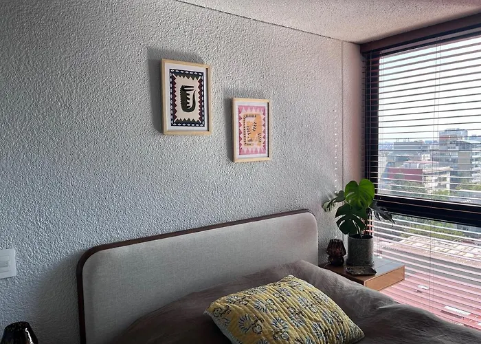 New Luxury, Stylish And Confortable In Condesa