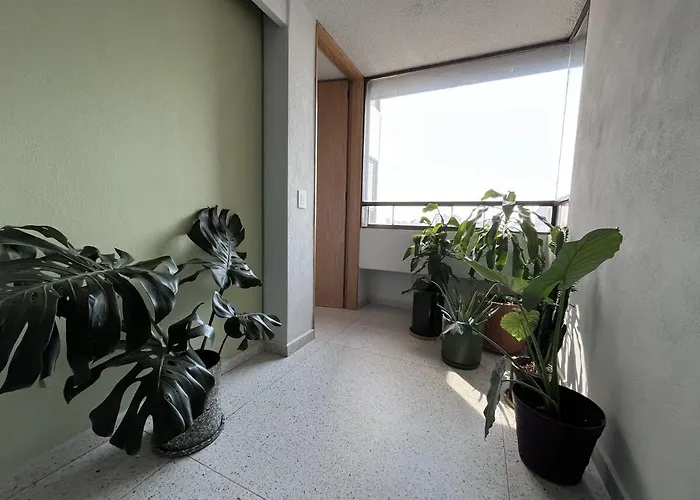 Apartamento New Luxury, Stylish And Confortable In Condesa