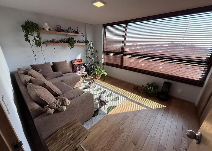 New Luxury, Stylish And Confortable In Condesa *