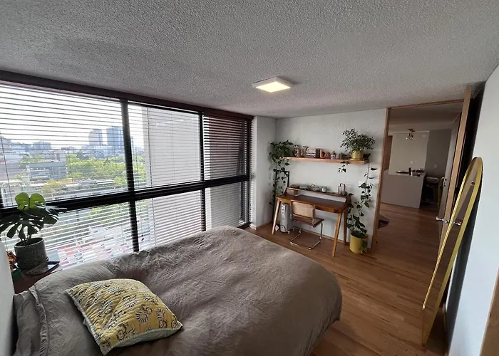 New Luxury, Stylish And Confortable In Condesa México DF