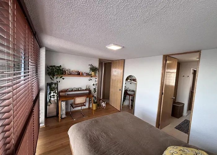 Apartamento New Luxury, Stylish And Confortable In Condesa *