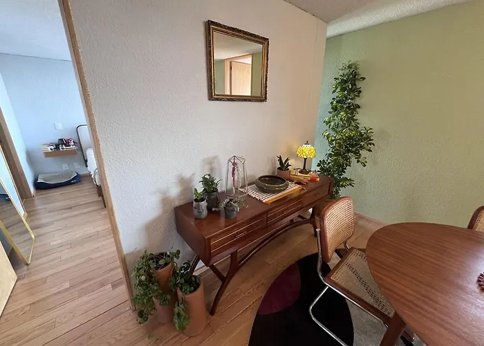 Apartamento New Luxury, Stylish And Confortable In Condesa