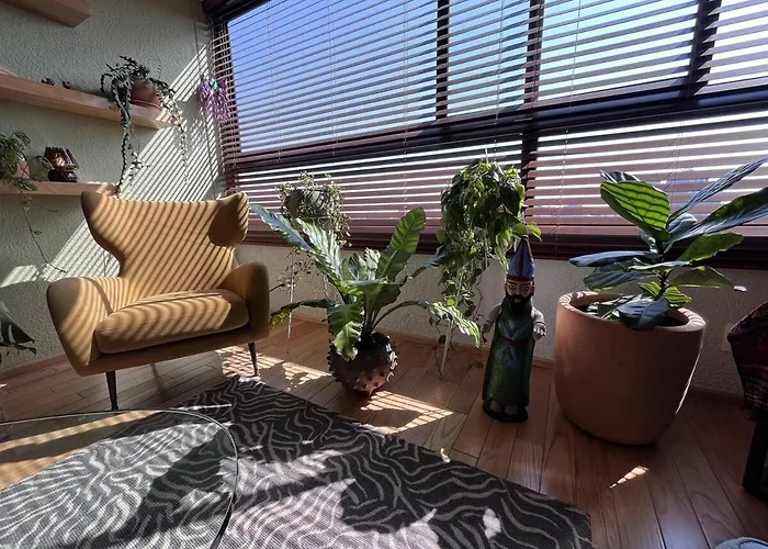 New Luxury, Stylish And Confortable In Condesa