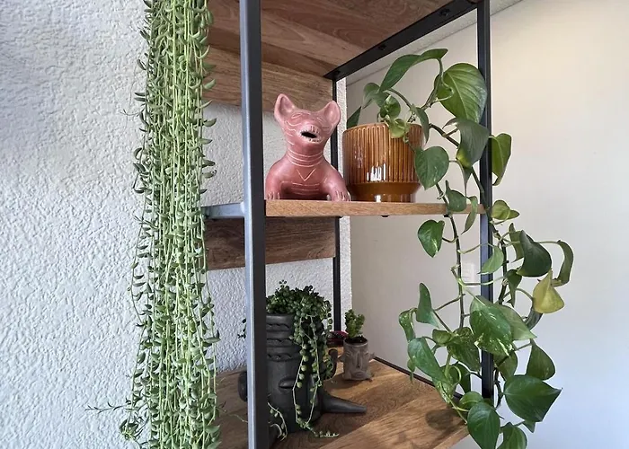 New Luxury, Stylish And Confortable In Condesa Apartamento